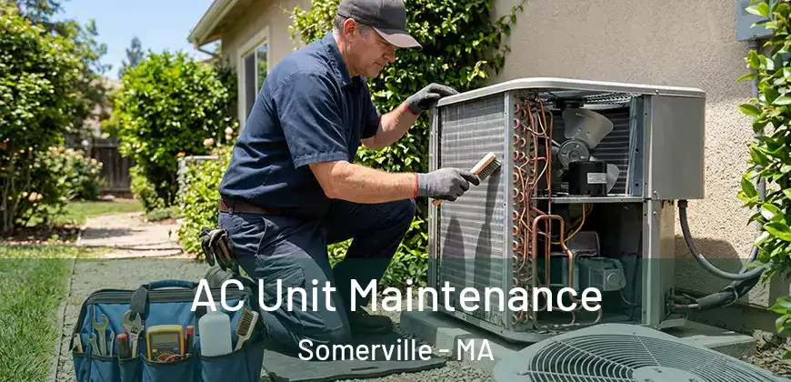  AC Unit Maintenance Somerville - MA